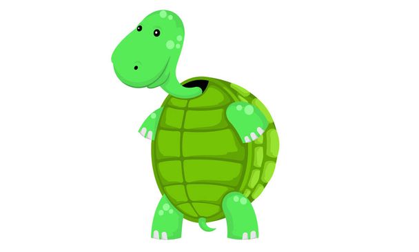 Malá želva zelená - Vektor, obrázek