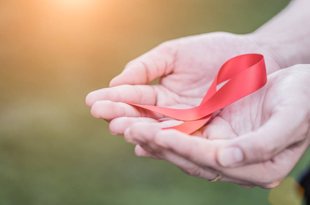 Female hands holding red AIDS awareness ribbon.  - 写真・画像
