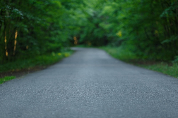 Пустая асфальтовая дорога в красочном лесу
 - Фото, изображение