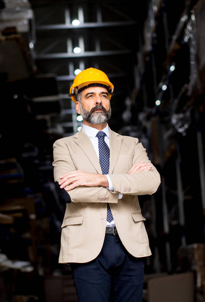 Portrait d'un bel homme d'affaires avec casque dans un entrepôt
 - Photo, image