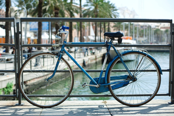 橋の上の手すりに近い青い自転車 - 写真・画像