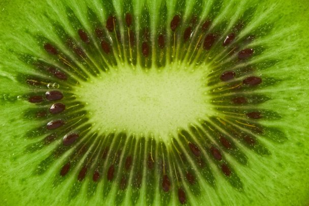 Kiwi close-up - Foto, Imagen