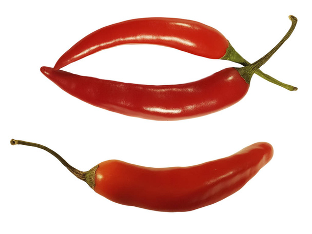 red chili pepper isolated - Foto, Imagen