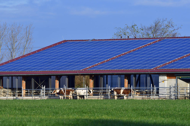 Moderní kravína s sluneční soustavy - Fotografie, Obrázek