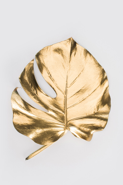 Nahaufnahme des glänzenden großen goldenen Blattes isoliert auf grau - Foto, Bild