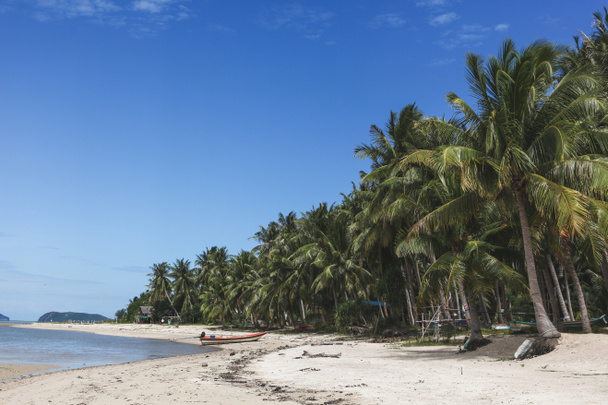 pięknej tropikalnej plaży z palmami na słoneczny dzień - Zdjęcie, obraz