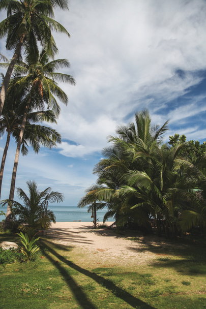 Palmen am tropischen Strand mit blauem Meer im Hintergrund - Foto, Bild
