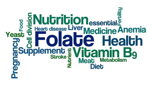 Word Cloud on a white background - Folate - Photo, Image