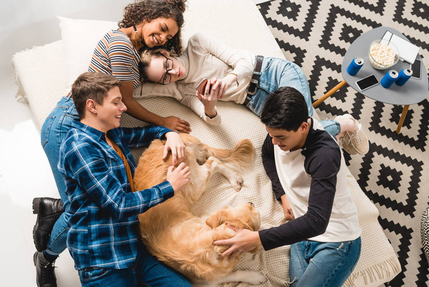 多文化共生の十代の若者たちのベッドで横になっていると、犬をパーミングのオーバー ヘッド ビュー - 写真・画像