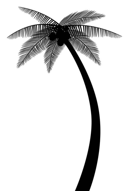 Palm tree sylwetka wektor eps 10 - Wektor, obraz