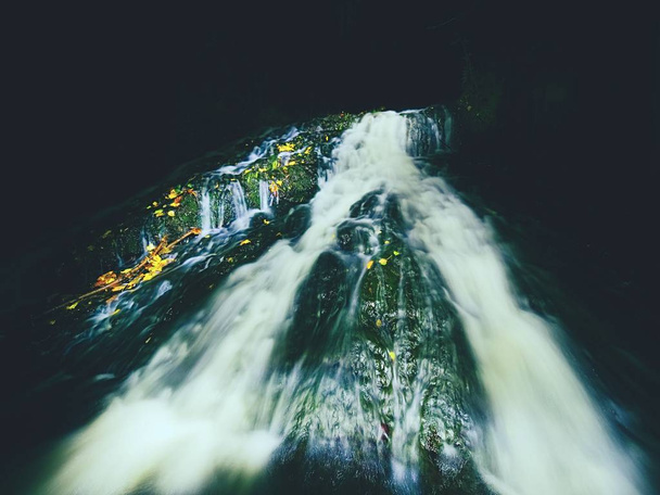 Pintura ligera en cascada nocturna en arroyo de otoño. Agua espumosa borrosa sobre roca musgosa con hojas coloridas
. - Foto, Imagen