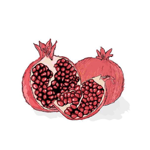 Punainen kypsä granaattiomena, pala granaattiomenaa. mehukas granaattiomena
  - Vektori, kuva