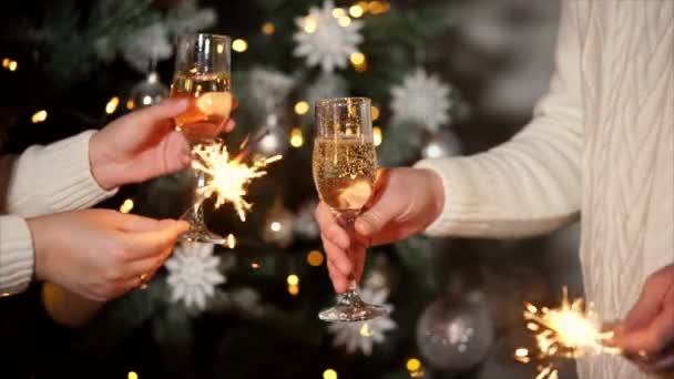 Close-up shot van mensen handen, die Nieuwjaar vieren, de paar bedrijf brillen met alcohol - Video