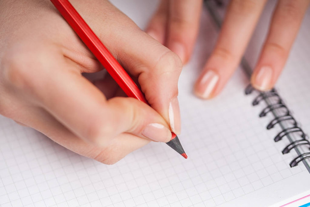 young woman hands hold opened notebook pages with red pencil - 写真・画像