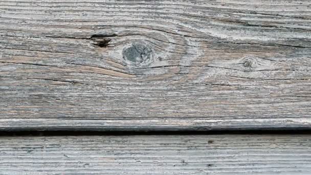 Μήκος σε πόδηα ρετρό ξύλινο τοίχο υφή φόντου. - Πλάνα, βίντεο