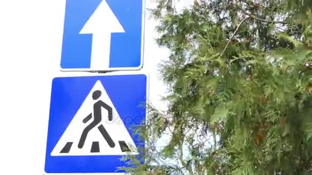 Dwa znaki drogowe są postrzegane w pobliżu drzewa. Głównej drogi i przeprawy. - Materiał filmowy, wideo