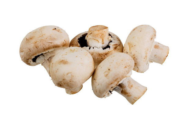 close-up group of five mushrooms Champignons - Photo, image
