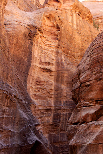 Siqin muurit, kapea käytävä, joka johtaa Petraan, Jordaniaan
 - Valokuva, kuva
