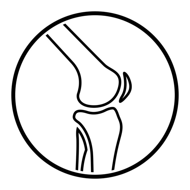 白い背景の上の関節膝アイコン - ベクター画像