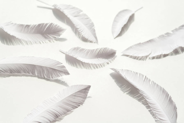 the feathers of a bird made of white paper on white background - Photo, image