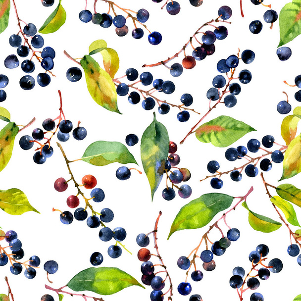 Black, tasty, tart, astringent, tasty, healthy, ripe berry cherry. Watercolor. Illustration - Foto, Imagem