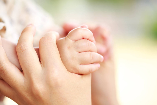 Family scene , closeup parent and baby holding hand together - 写真・画像