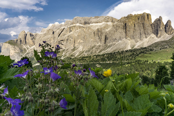 Beautiful summer scenery of the Dolomites. Italy. - Photo, Image
