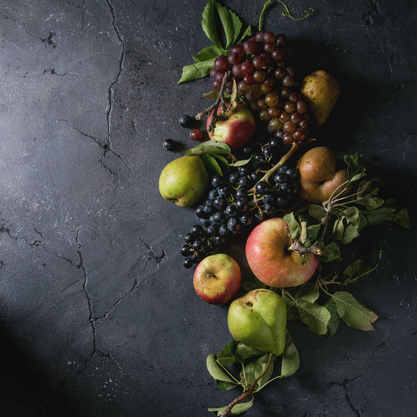 Variety of autumn fruits - Fotó, kép