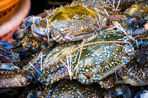 Granchi freschi nel mercato della pesca frutti di mare
 - Foto, immagini