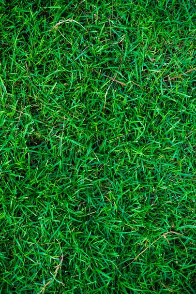 Зеленая природа трава вид сверху текстура фон, футбольное поле
 - Фото, изображение