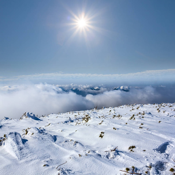 winter snowbound mountain plateau under a sparkle sun - Фото, изображение