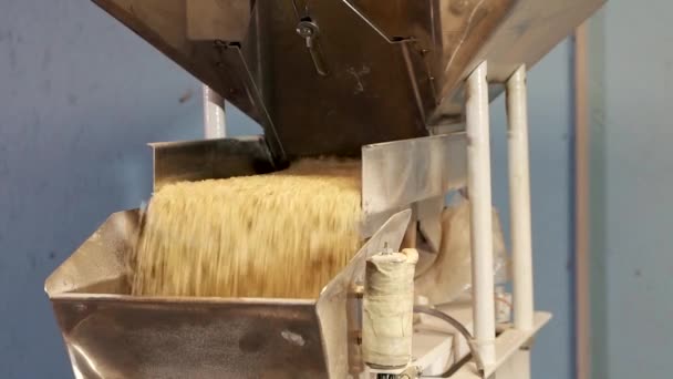 rice on a conveyor belt - Кадры, видео