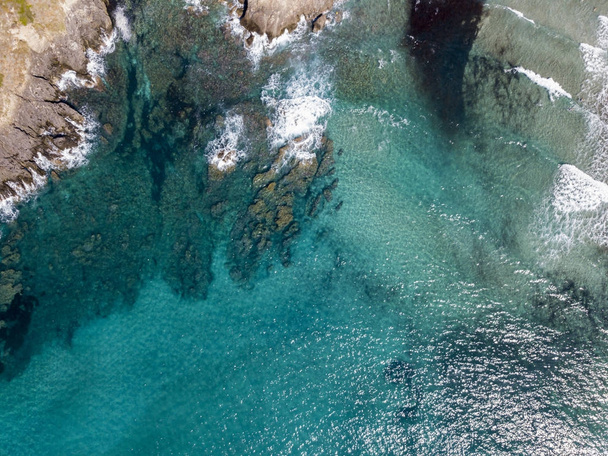 Aerial view of rocks on the sea. Overview of seabed seen from above, transparent water. Swimmers, bathers floating on the water - Фото, зображення