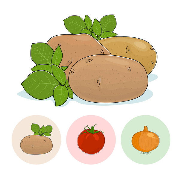 Иконы картофель, помидоры, лук
 - Вектор,изображение