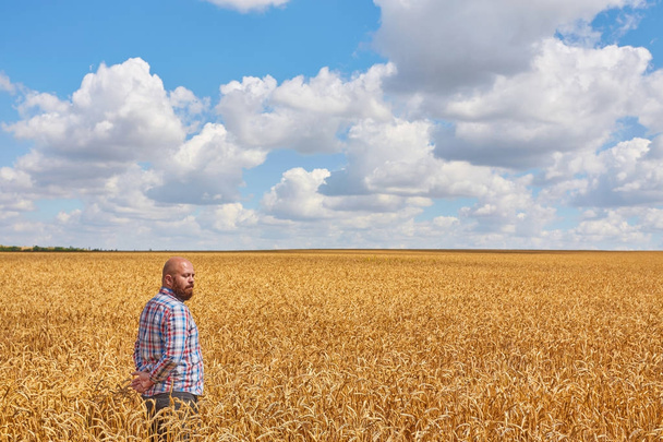 фермер, стоящий на пшеничном поле - Фото, изображение