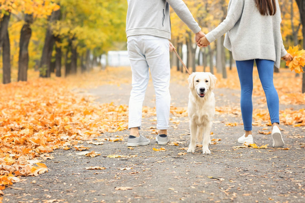 couple with dog in park - Foto, imagen