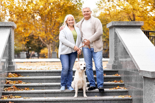 Mature couple with dog in park - Фото, зображення