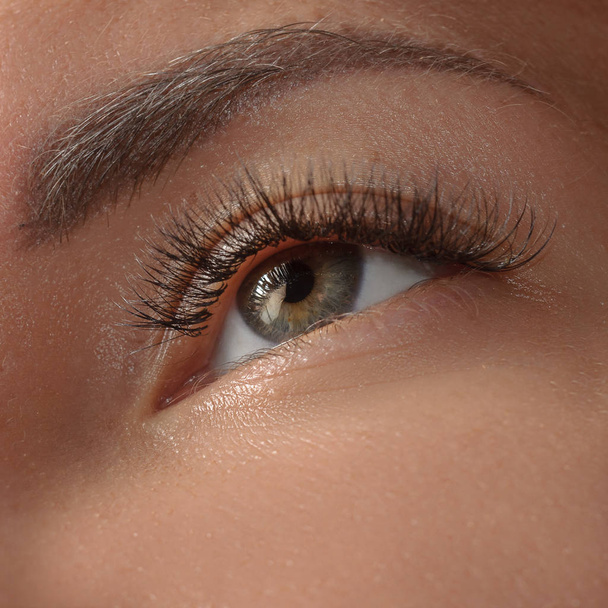Kobiece piękne brązowe oczy zbliżenie. Oczami uczniów zbliżenie - Zdjęcie, obraz