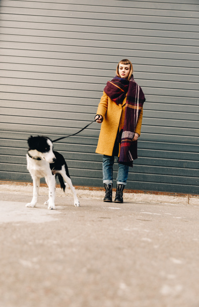 selective focus of young woman with puppy on dog lead standing on street - Foto, Imagen