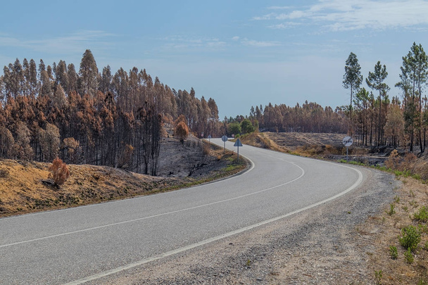 Estrada nacional com floresta queimada. Portugal
 - Foto, Imagem