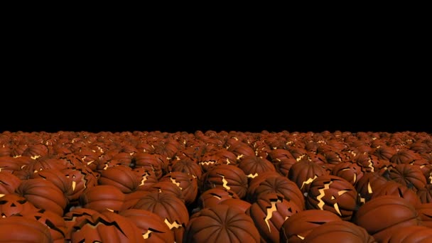 Set of pumpkins for halloween - Footage, Video