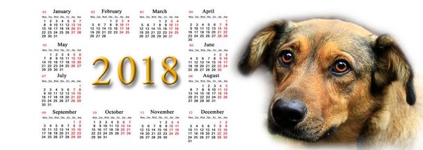 calendario para 2018 con buen perro
 - Foto, imagen