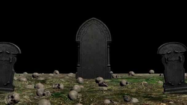Begraafplaats lus, zeer vreselijke samenstelling met een schedel - Video