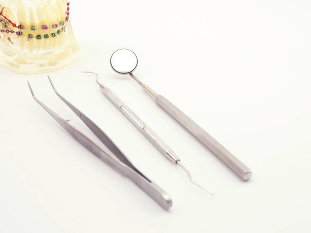 herramientas dentales básicas y modelo dental en fondo blanco. explorador de espejo de boca y alicate de algodón sobre fondo blanco
. - Foto, Imagen