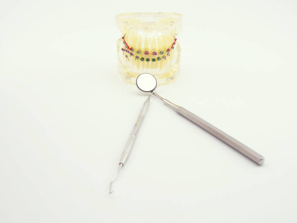 tandheelkundige basishulpmiddelen en tandheelkundige model op witte achtergrond. mond spiegel explorer en katoen plier op witte achtergrond. - Foto, afbeelding