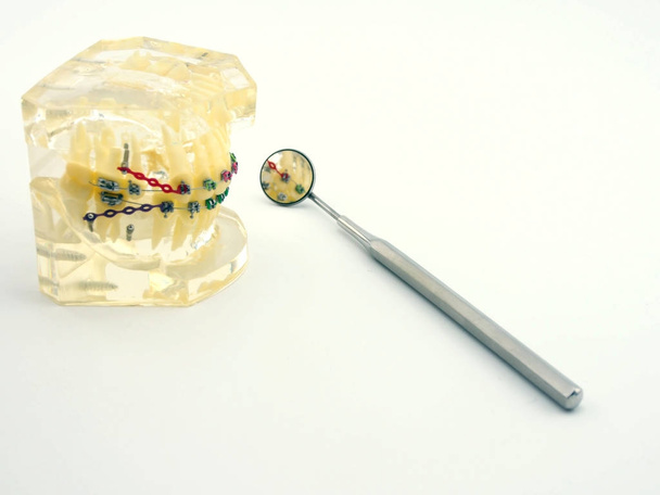 herramientas dentales básicas y modelo dental en fondo blanco. explorador de espejo de boca y alicate de algodón sobre fondo blanco
. - Foto, imagen