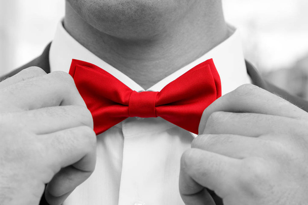 Man adjusts red bow tie with hands. Black and white photo with coloured element - Фото, зображення