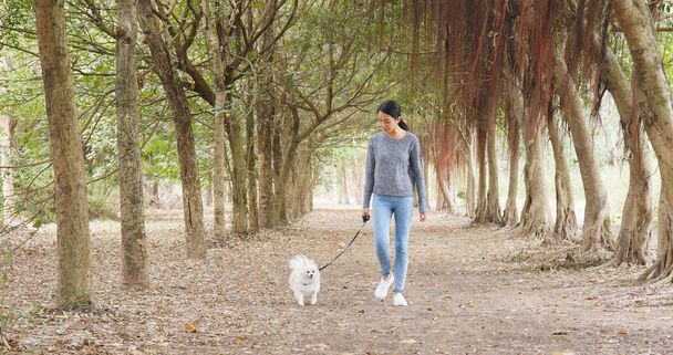 Woman walking with dog in park - Photo, Image