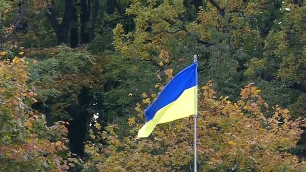 eine blau-gelbe ukrainische Flagge, die in der Luft im Wald in Slo-mo schwenkt - Filmmaterial, Video