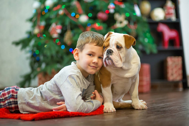 Best friends handsome blond boy and puppy red white english bulldog enjoying spending time with each other close to Christmas tree on red carpet mat. Dog wearing deer cornuted - Photo, image